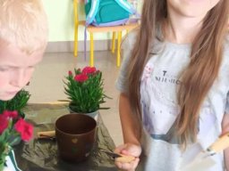 50054429311671293452150122276581325047329848n